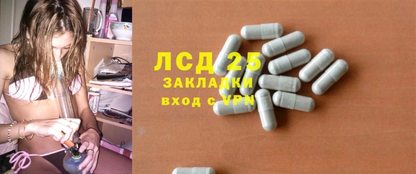 СК Абинск