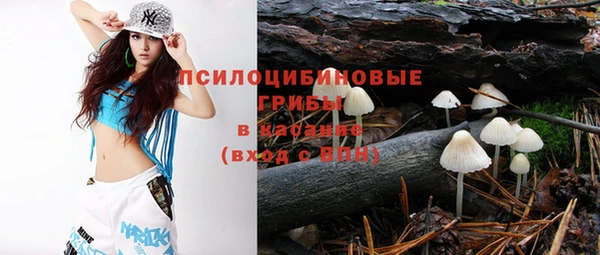 СК Абинск